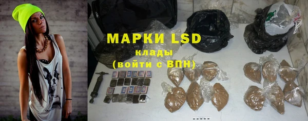 PSILOCYBIN Вязники
