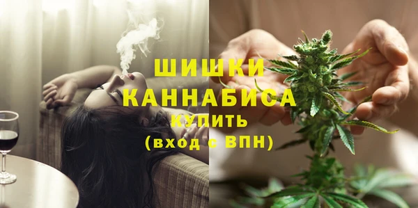 скорость Вяземский