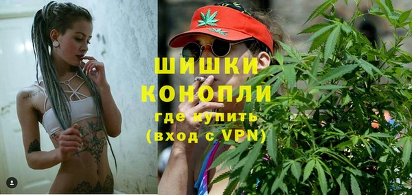 PSILOCYBIN Вязники