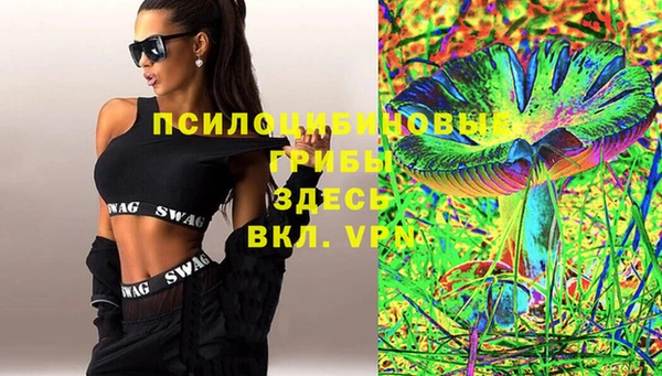 эйфоретик Вязьма