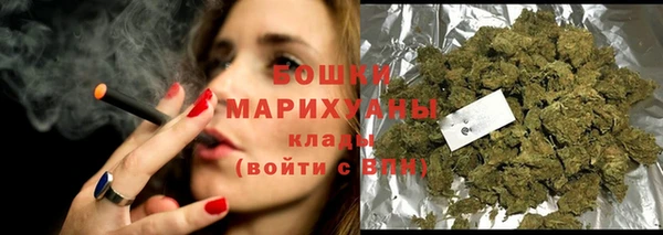 скорость Вяземский