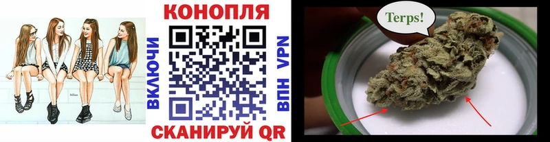 Канабис AK-47  купить наркотики цена  Дагестанские Огни 